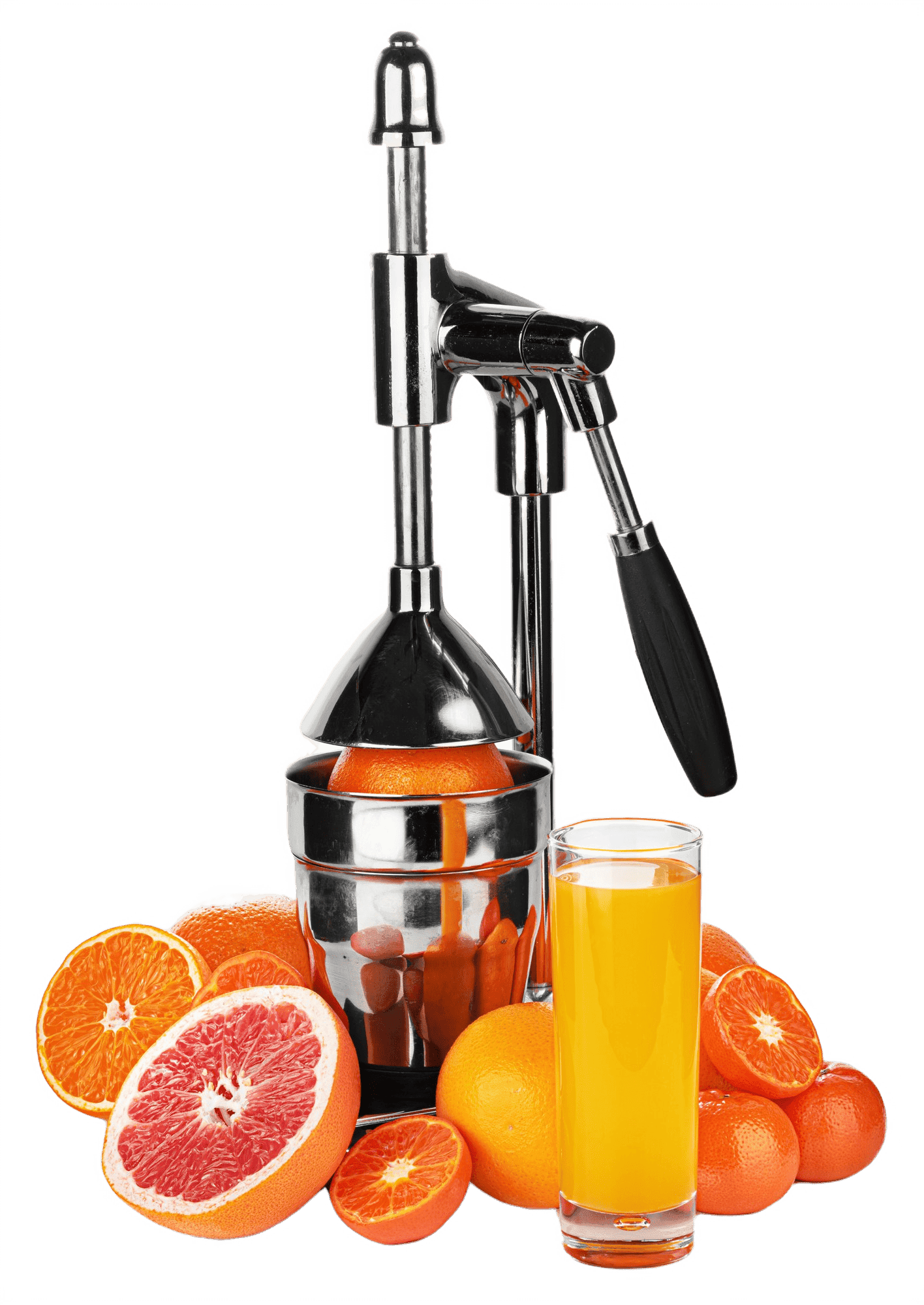 Kenwood Stainless Steel Juicer